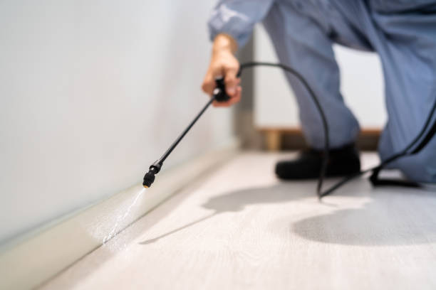 Bed Bug Pre-Treatment Preparation Assessment in Bella Vista