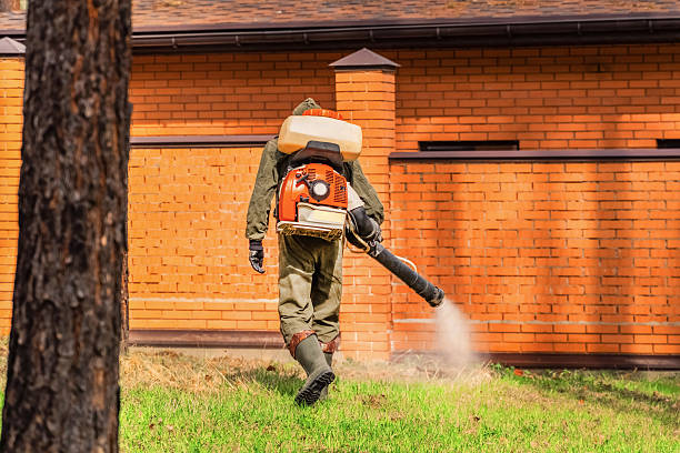 Bed Bug Clearance Verification and Documentation in Bella Vista
